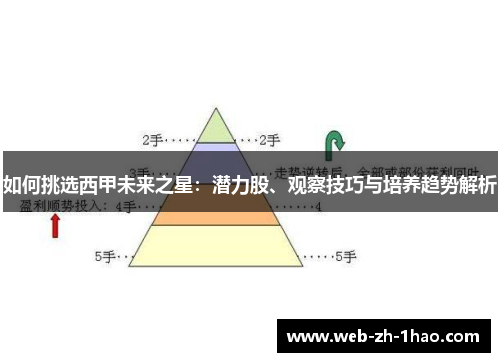 如何挑选西甲未来之星：潜力股、观察技巧与培养趋势解析
