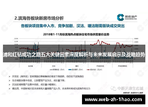 浦和红钻成功之路五大关键因素深度解析与未来发展启示及战略趋势