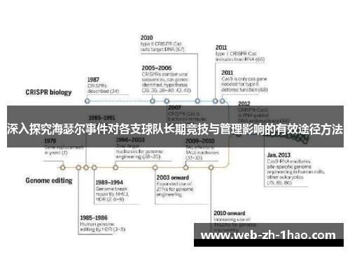 深入探究海瑟尔事件对各支球队长期竞技与管理影响的有效途径方法 深入探究海瑟尔事件对各支球队长期竞技与管理影响的有效途径方法