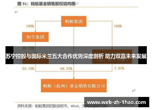 苏宁控股与国际米兰五大合作优势深度剖析 助力双赢未来发展