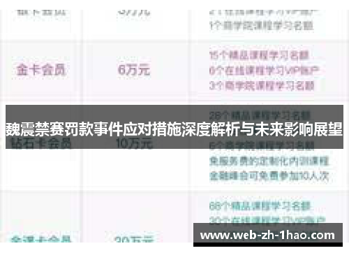 魏震禁赛罚款事件应对措施深度解析与未来影响展望